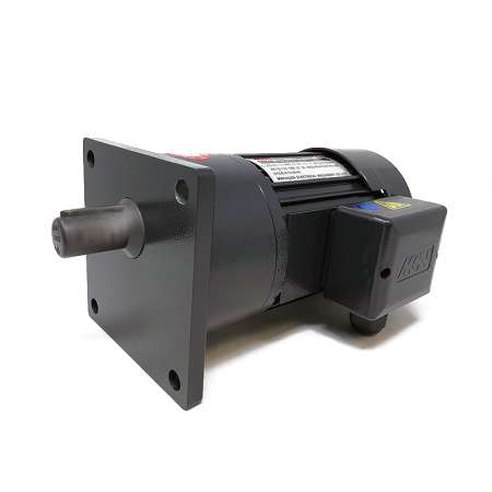 Induction Geared Motor NFS22020503L with side view