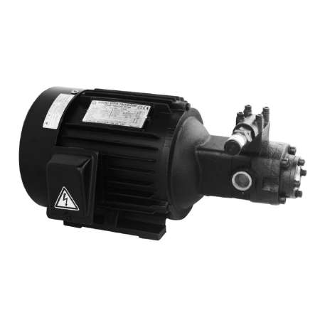 Aryung Motor T-ROTOR Pump AMTP1500-216HAVB