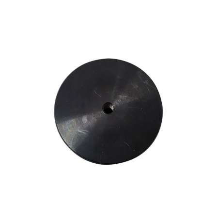 EWS CAP Disk BMT55