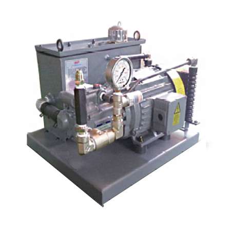 Hydraulic Pump Motor 0.75kWx6Px220 for FFGDMC machines