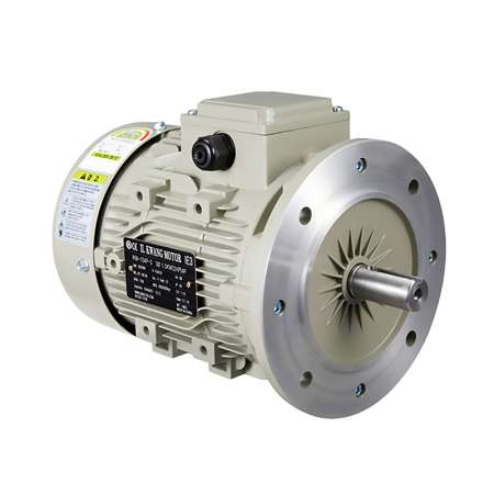 IK ELECTRIC B35 Horizontal Vertical 3-Phase Motor, TEFC, 0.2kW,1/4HP, 220V