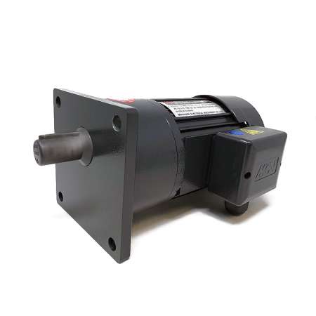 Induction Geared Motor NFS22020503L