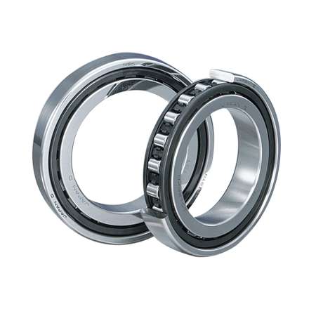 NSK Cylindrical Roller Bearing N1009BTKRCC0P4