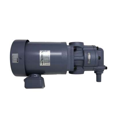 NOP Motor T-ROTOR Pump 3P700-320EVB 